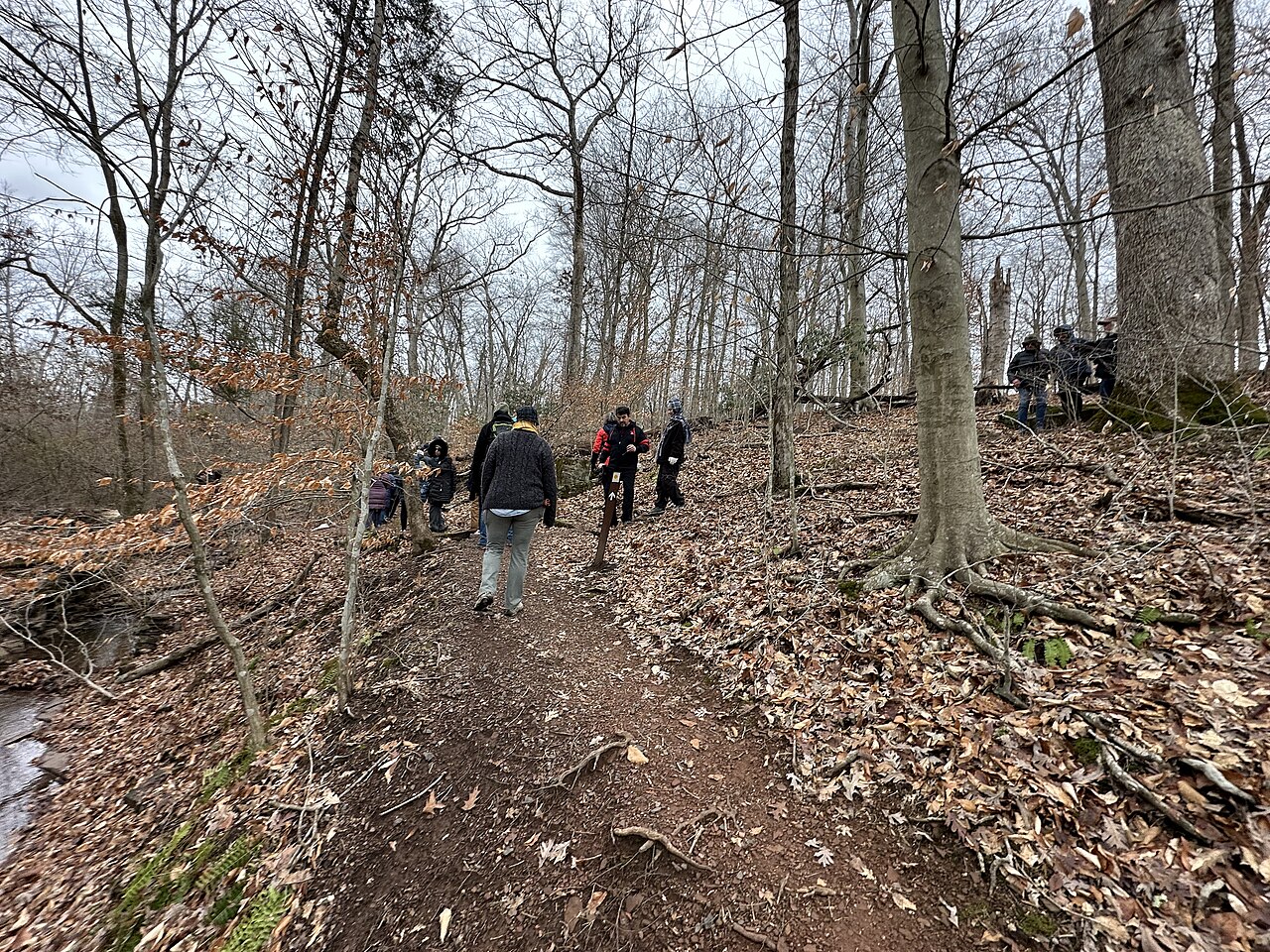 Groupe de marcheurs sur un chemin forestier pour illustrer une premiere randonnee progressive.