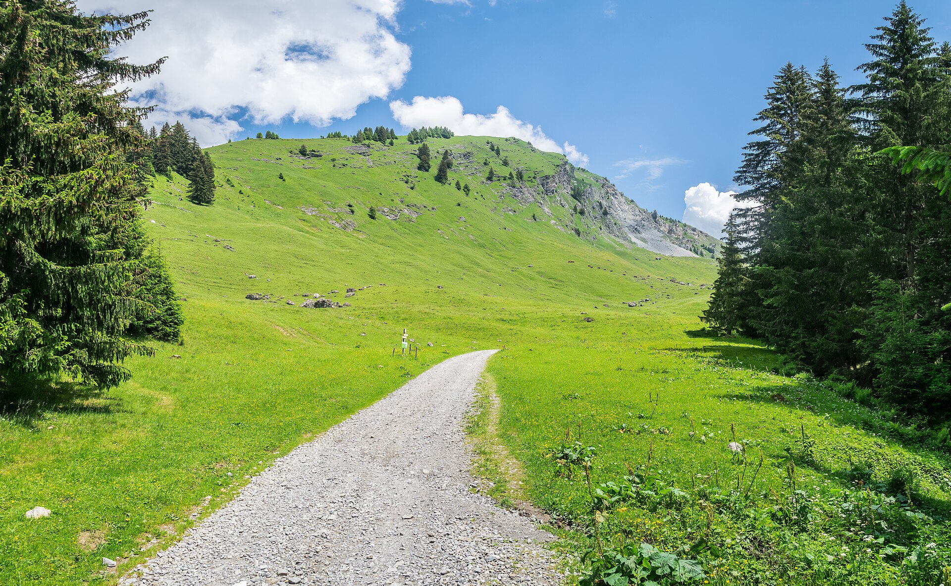 Detail pratique pour Repérer une bifurcation avant de la manquer pendant un week-end nature