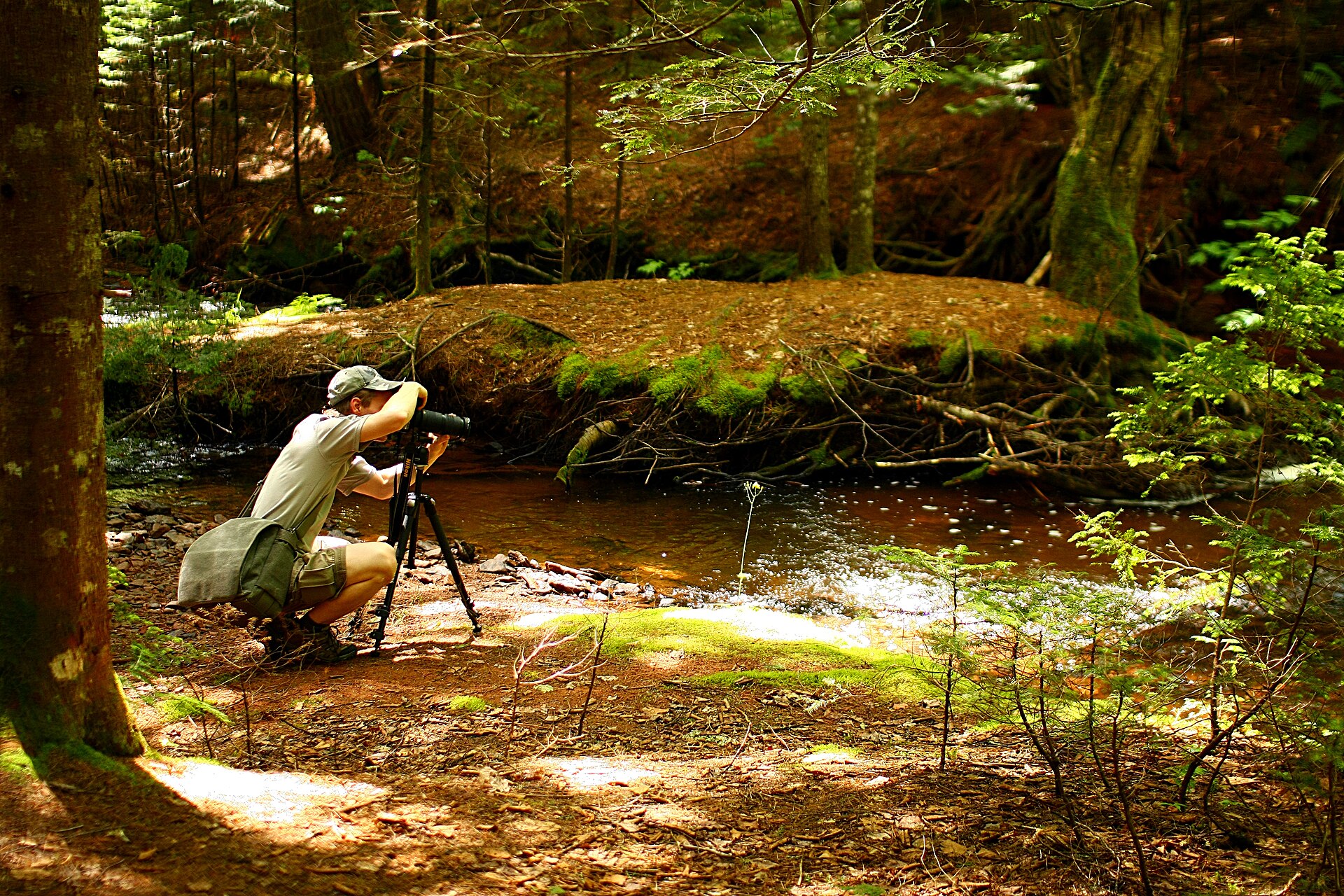 une prise de vue nature en randonnee pour illustrer l'article Photographier la nature avec un smartphone sans quitter les sentiers.