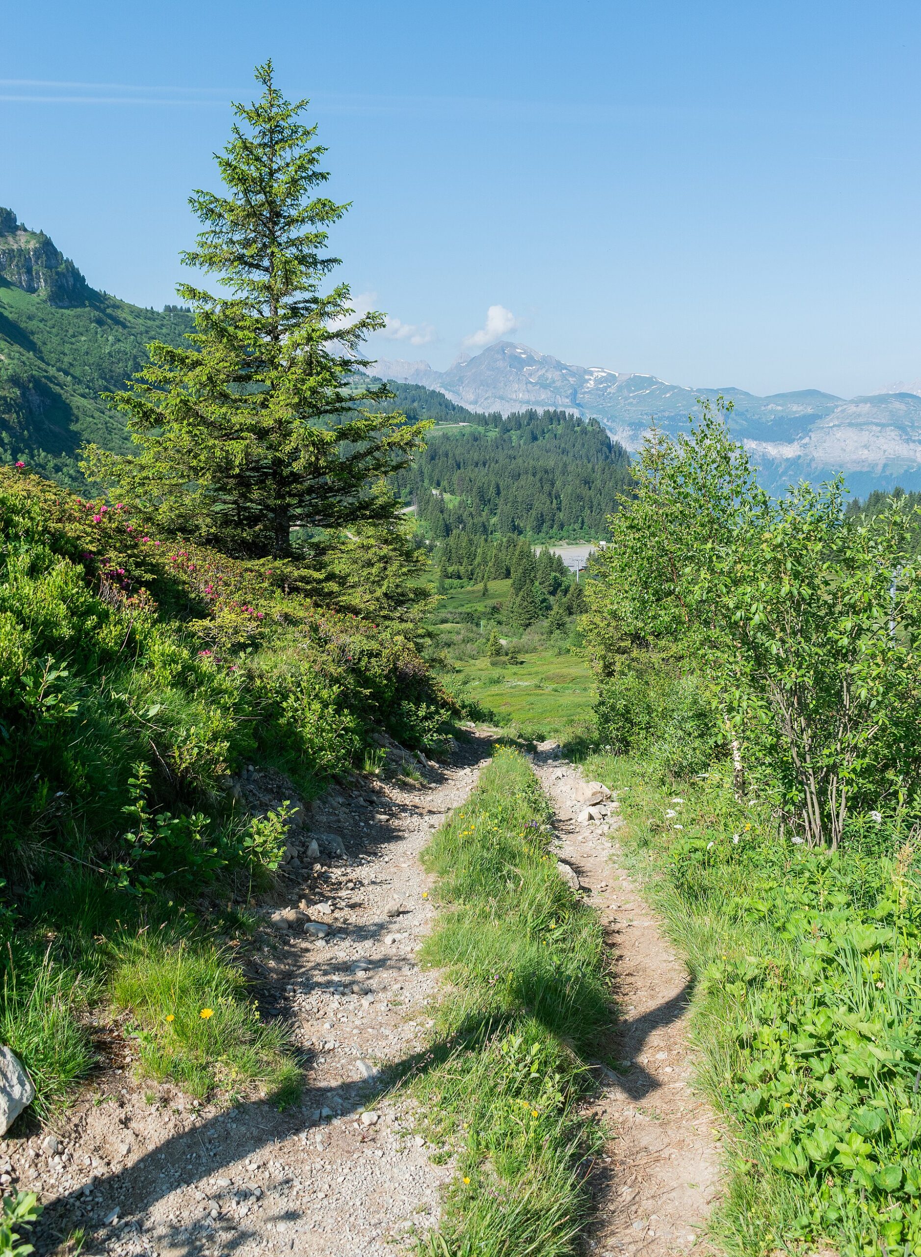 Scene nature pour Repérer une bifurcation avant de la manquer pendant un week-end nature